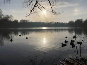 Der Kamerner See in Rethorn