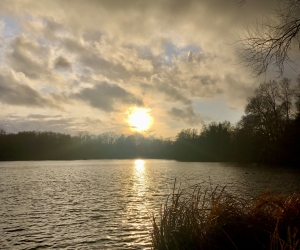 Stimmungsbild am Kamerner See