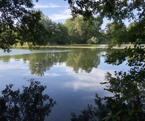 Der Kamerner See in Rethorn