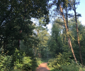 Rundweg um den Kamerner See (Am Tonstich)