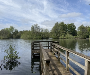 Der Kamerner See im Mai 2025