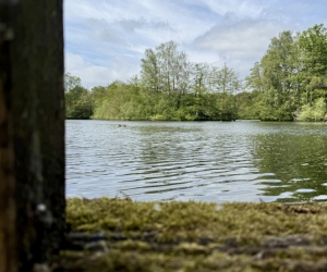 Der Kamerner See im Mai 2025