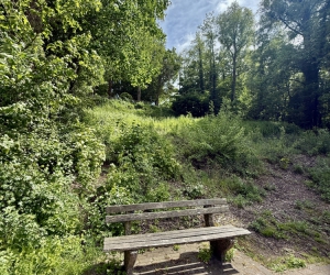 Der Kamerner See im Mai 2025 - Blick auf die Aussichtsplattform am Hohenkamp