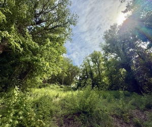 Der Kamerner See im Mai 2025 - Blick auf die Aussichtsplattform am Hohenkamp