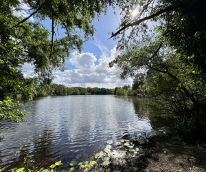 Der Kamerner See im Sommer 2024