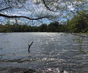 Der Kamerner See in Rethorn