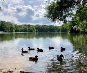 Der Kamerner See in Rethorn