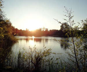 Der Kamerner See in Rethorn