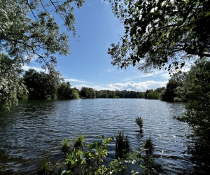 Der Kamerner See in Rethorn