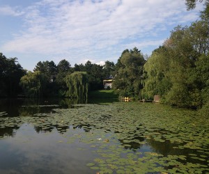 Der Kamerner See in Rethorn