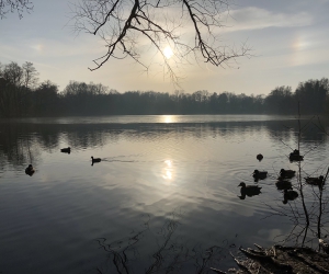 Der Kamerner See in Rethorn