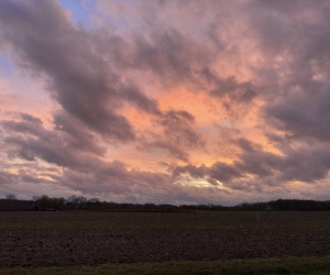 Stimmungsbild am Pappelweg