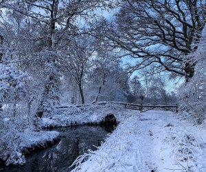 Winterimpressionen