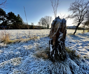 Winterimpressionen