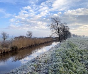 Winterimpressionen