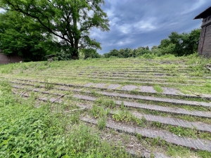 Die Stedingsehre in Bookholzberg