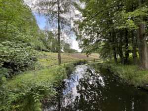 Die Stedingsehre in Bookholzberg