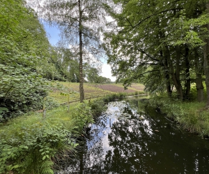 Die Stedingsehre in Bookholzberg