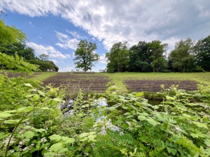 Die Stedingsehre in Bookholzberg