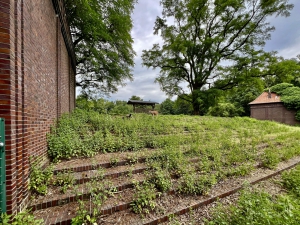 Die Stedingsehre in Bookholzberg