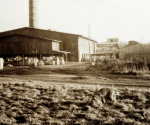 Tonabbau in Rethorn und Kamern
